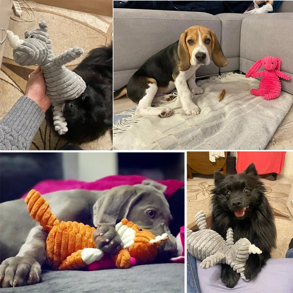 Animals Shape Bite Resistant Squeaky Toys - wagglywonders