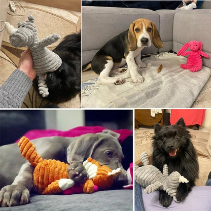 Animals Shape Bite Resistant Squeaky Toys - wagglywonders