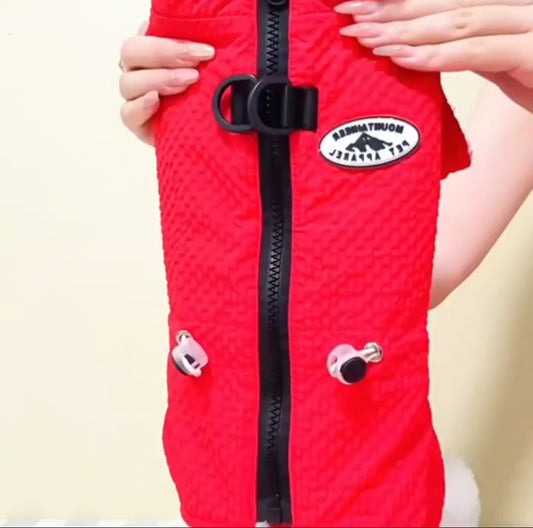 Waterproof Dog Jacket with Harness