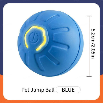 Smart Dog Toy Ball Electronic - wagglywonders