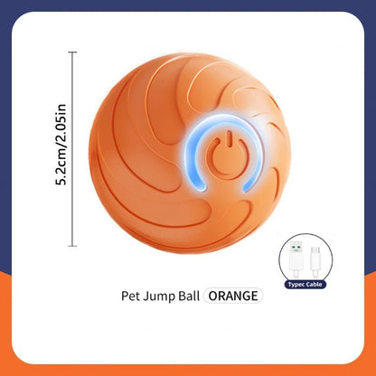 Smart Dog Toy Ball Electronic - wagglywonders