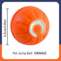 Smart Dog Toy Ball Electronic - wagglywonders