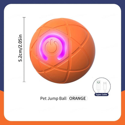 Smart Dog Toy Ball Electronic - wagglywonders